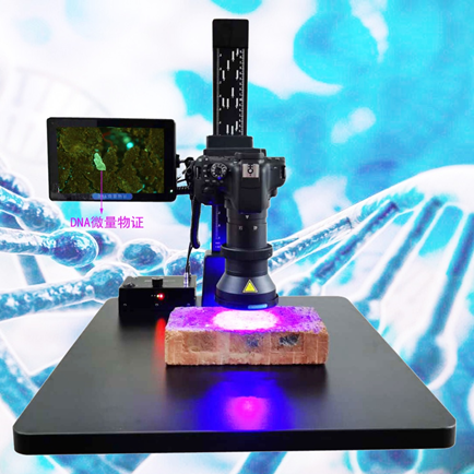 DNA΢Cl(f)F(xin)x